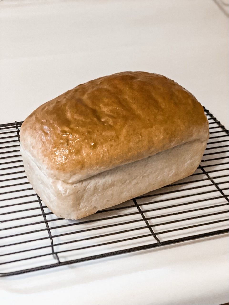 The Best Sandwich Bread Lewis Acres Homestead